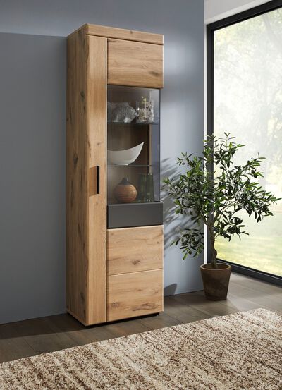 Vitrine met antracietkleurige elementen 