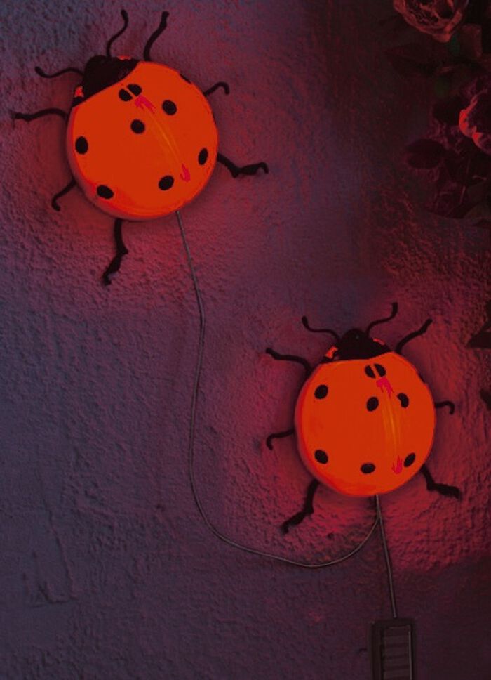 Lieveheersbeestje op zonne-energie, set van 2 