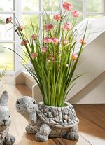 Bosje gras in magnesia pot ROZE-GROEN