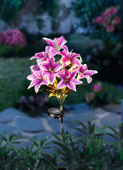 Zonne-energieplug "Lelies" 