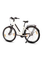 E-bike Comfort Plus 5.0 van Saxonette 
