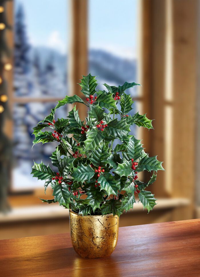 Hulst arrangement in een pot 