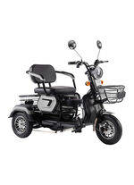 Driewielig elektrisch voertuig in de stijl van een compacte scooter ZILVER