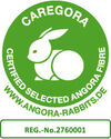 BADERnl_NL1Logo_Caregora