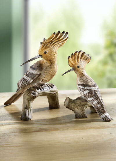 Goebel Vogel van het Jaar 2022 