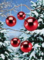 Weer- en breukvaste ballenset, 5-delig ROOD