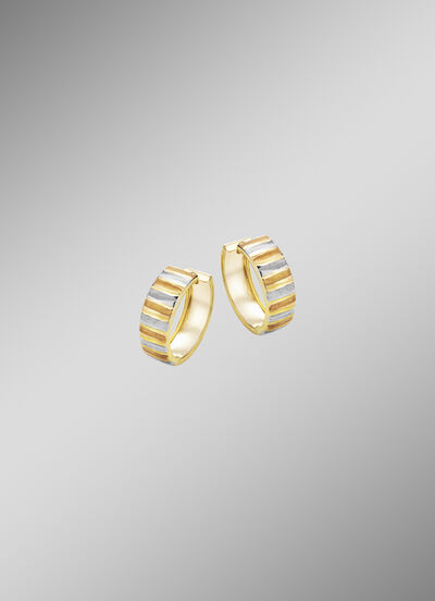 Elegantie in elk facet &ndash; driekleurige creolen 