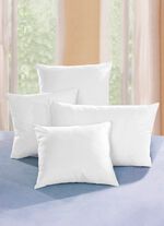 Kussenvulling met verenvulling 