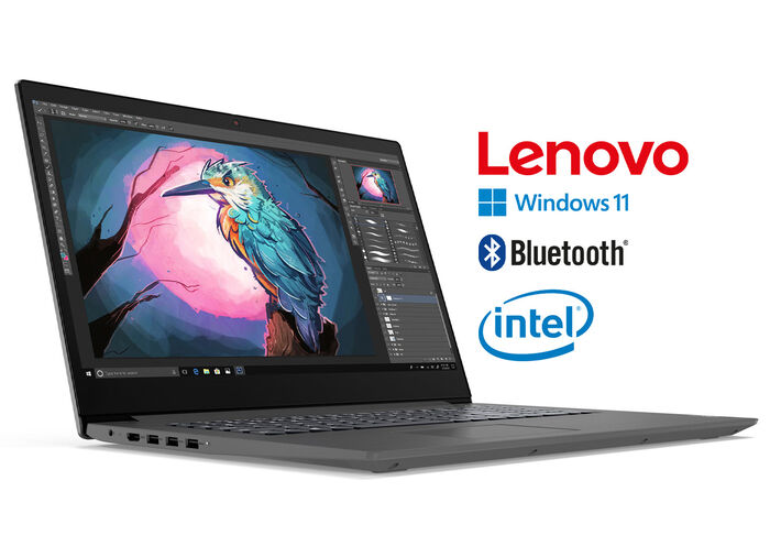 Lenovo notebook met 17,3" (43,2 cm) ontspiegeld Full HD-beeldscherm 