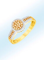 Damesring met 29 briljant geslepen diamanten, tlb, en 40 witte diamanten 