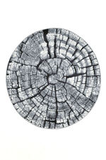 Tapijt in een natuurlijk boomstamontwerp GRAU