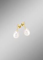 Stralende charme &ndash; vergulde zilveren oorbellen 