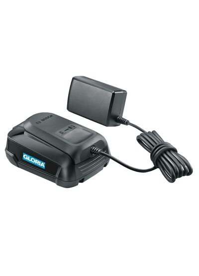 Bosch POWER FOR ALL accu met oplader 