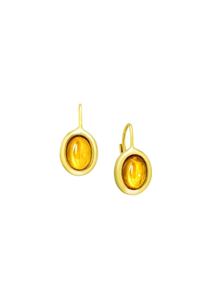 Tijdloze, elegante oorbellen met echt barnsteen 