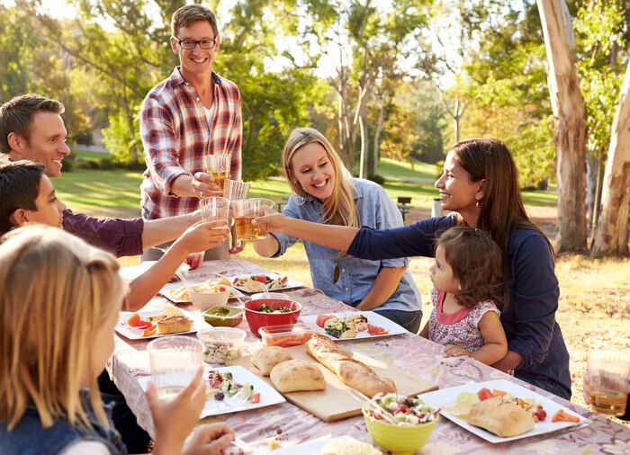VapoWesp rookbox om wespen op afstand te houden 
