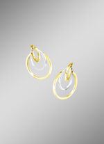 Moderne, chique creoolse oorbellen in twee kleuren 