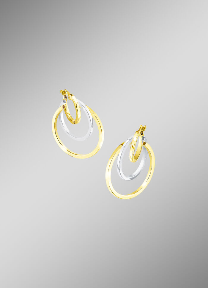 Moderne, chique creoolse oorbellen in twee kleuren 