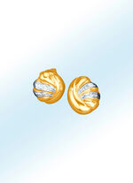 Betoverende oorbellen met 2 diamanten 