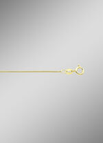 Vergulde zilveren slangenketting 