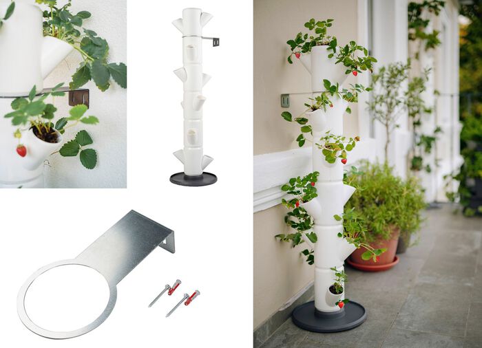 Sissi Aardbeienplantsysteem 