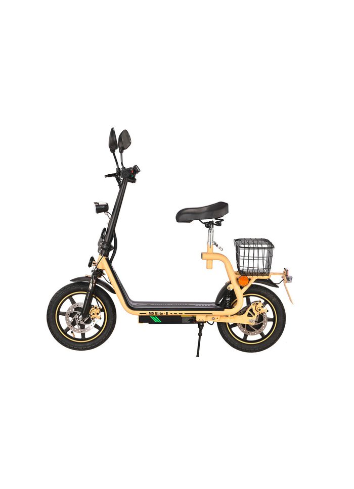 elektrische scooter 