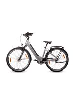 E-bike Comfort Plus 5.0 van Saxonette 