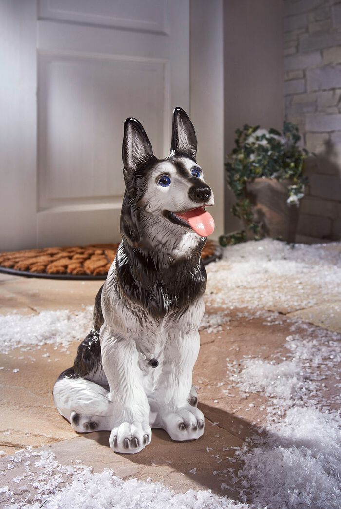 Bewegingsmelder Husky 