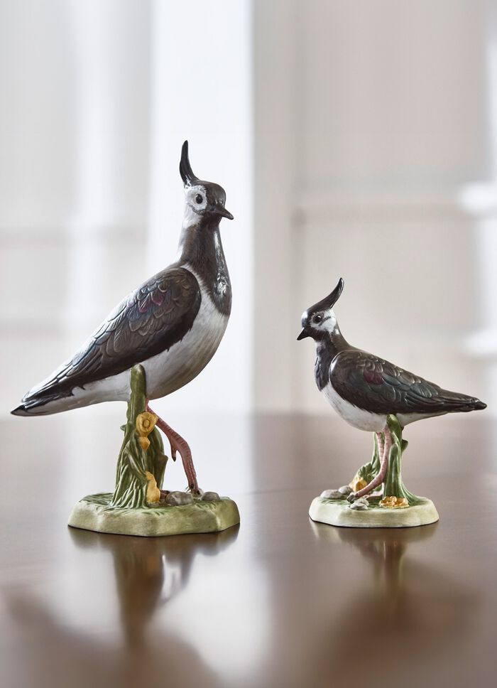 Vogel van het Jaar 2024 van Goebel KLEURRIJK