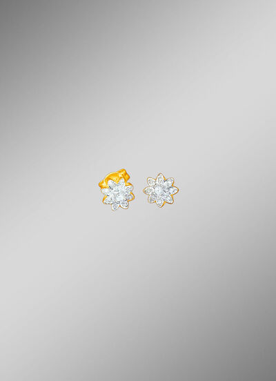 Oorstekers met briljant geslepen diamanten 