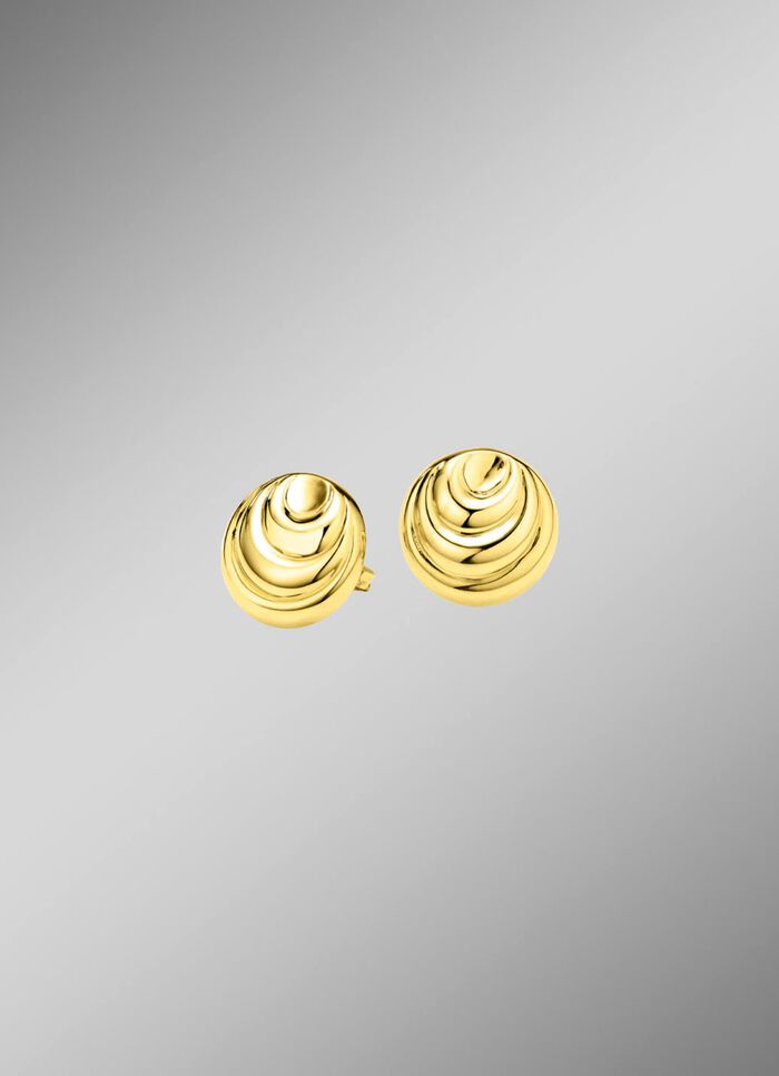 Gouden oorbellen met een glanzende afwerking 