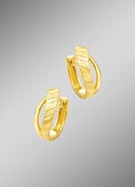 Vergulde zilveren creolen 