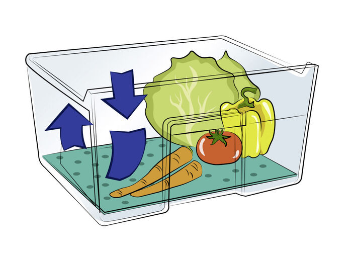 Koelkastpad set van 2 