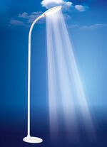 Daglicht lichten WIT