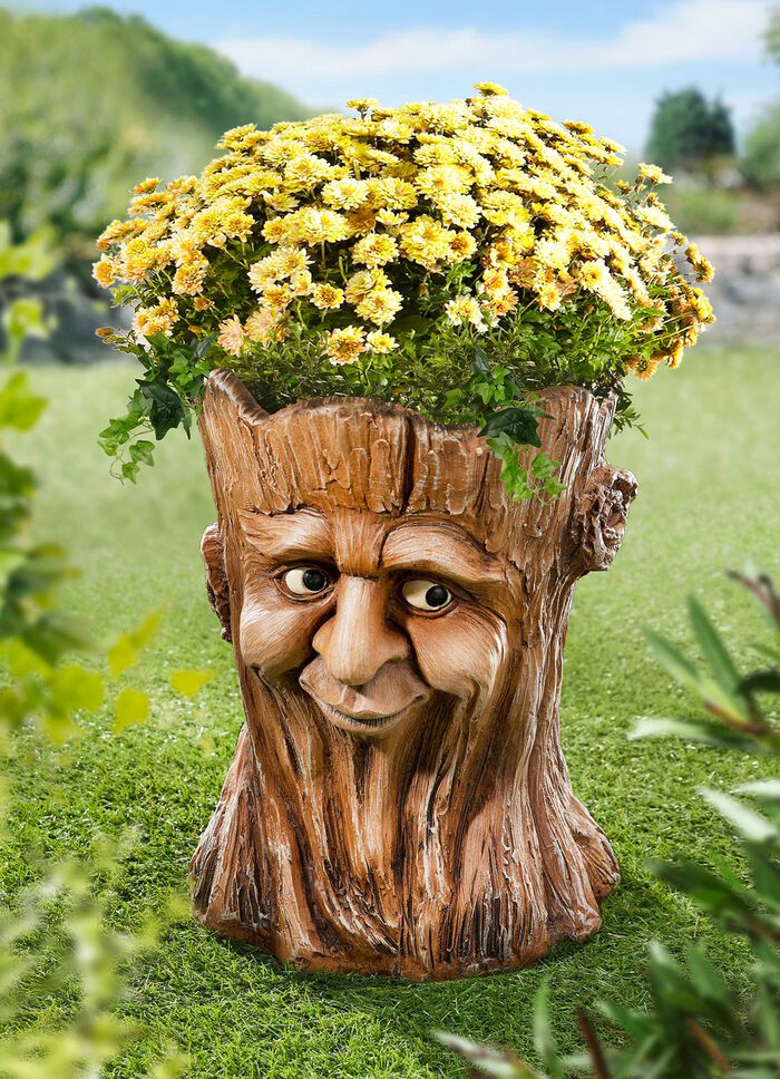 boomstronk van een plantenbak 