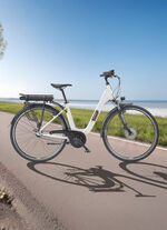 Stads e-bike RC836 van TELEFUNKEN 
