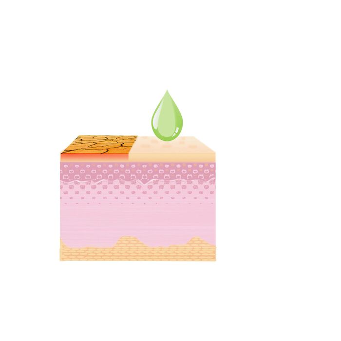 Goudsbloemcr&egrave;me, set van 2 