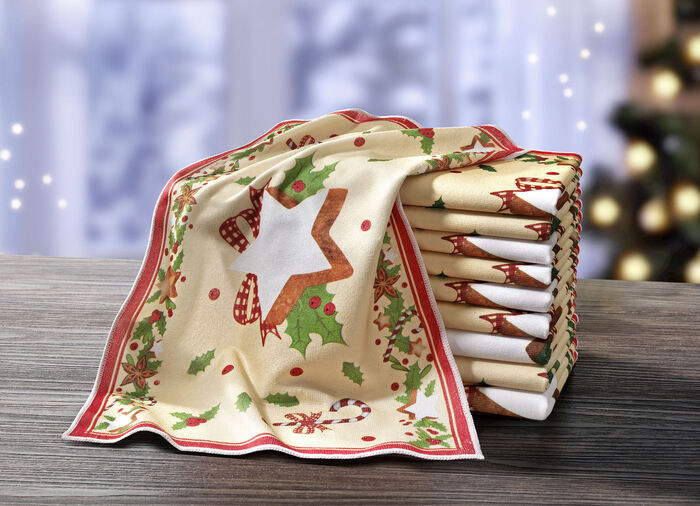 Microvezel theedoeken, set van 10 