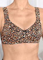 Susa-beha met roofdiermotief 