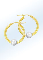 Tweekleurige creoolse oorbellen 