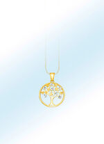 Interessante aanhangwagen 