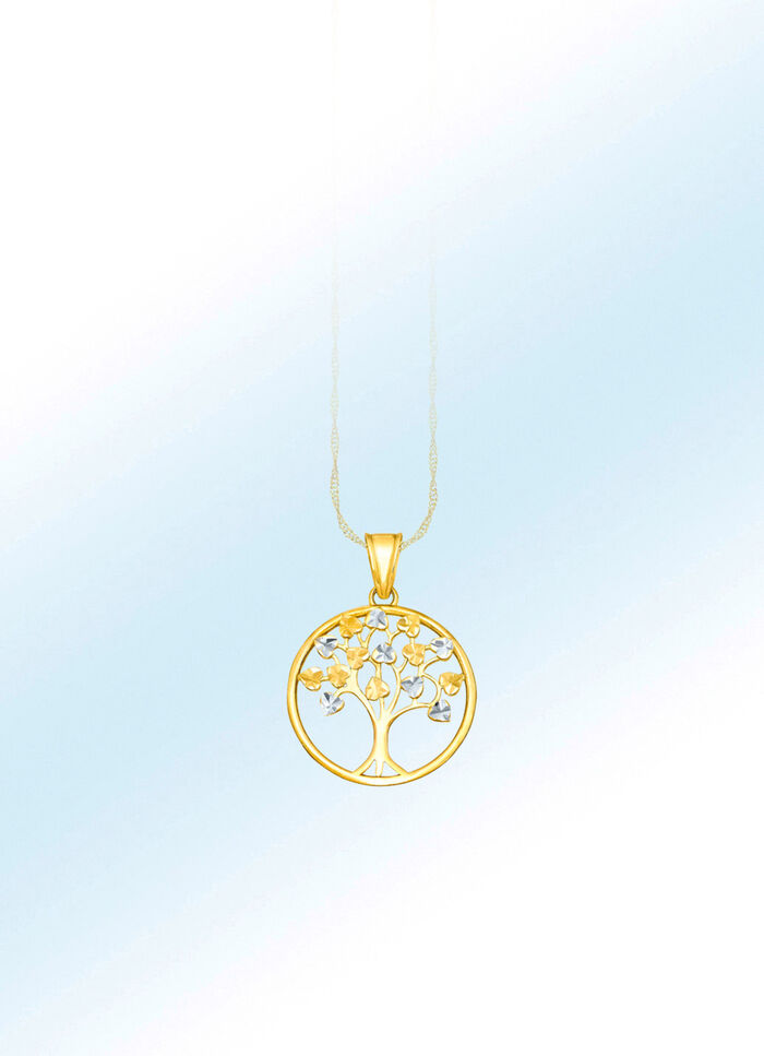 Interessante aanhangwagen 