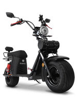 elektrische scooter 