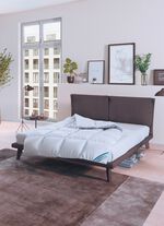 Het Antarctis-donsprogramma van Spessarttraum 