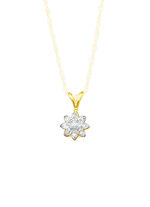 Hanger met briljant en diamanten 