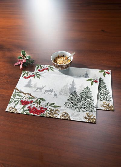 Mooie placemat, 2 stuks 