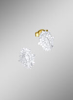 Exclusieve diamant-oorbellen 