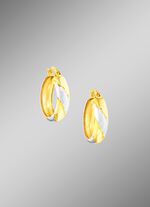 Edele creolen tweekleurig 