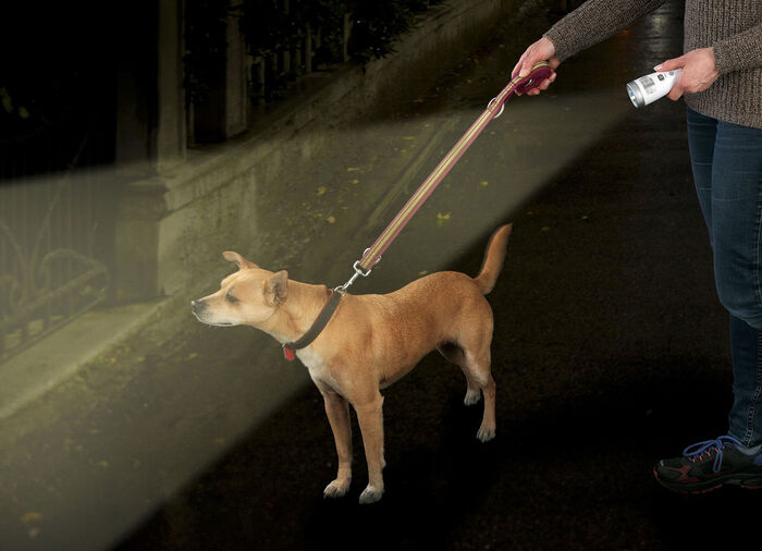 LED-nachtlampje en handlamp, 2-in-1 licht 