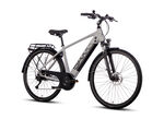 E-Trekkingfiets X-Road 5.0 SILBER