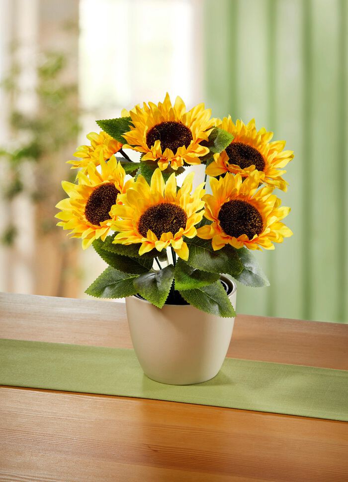 Zonnebloem arrangement 